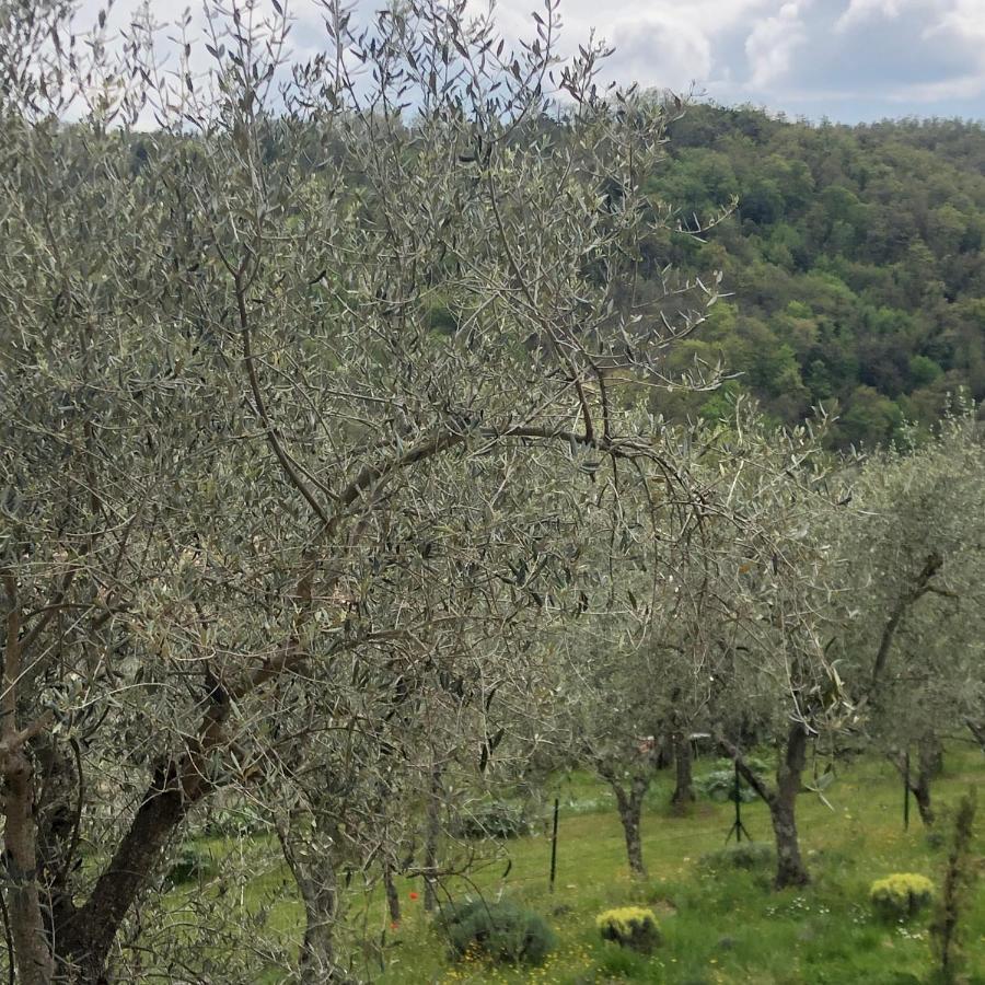 La Maison De Campagne Rigomagno Exterior foto